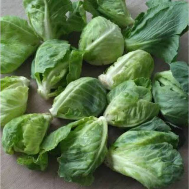 

Daun cuciwiss 500gr