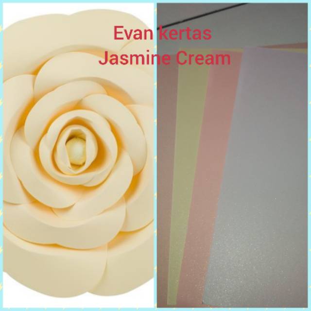 

Kertas jasmine A4 Cream