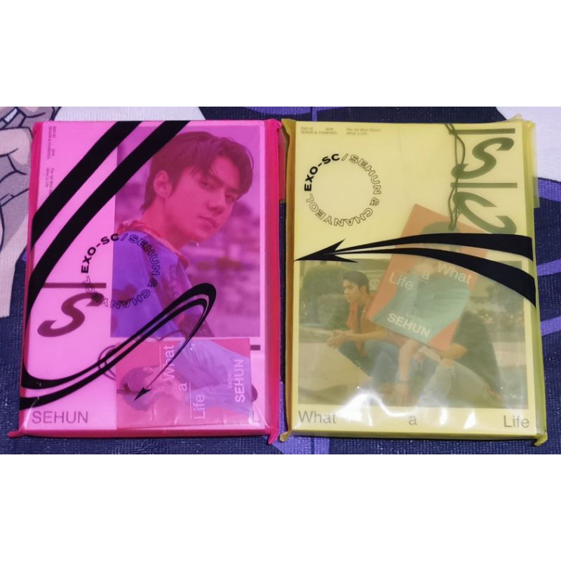 EXO SEHUN & CHANYEOL What A Life Album