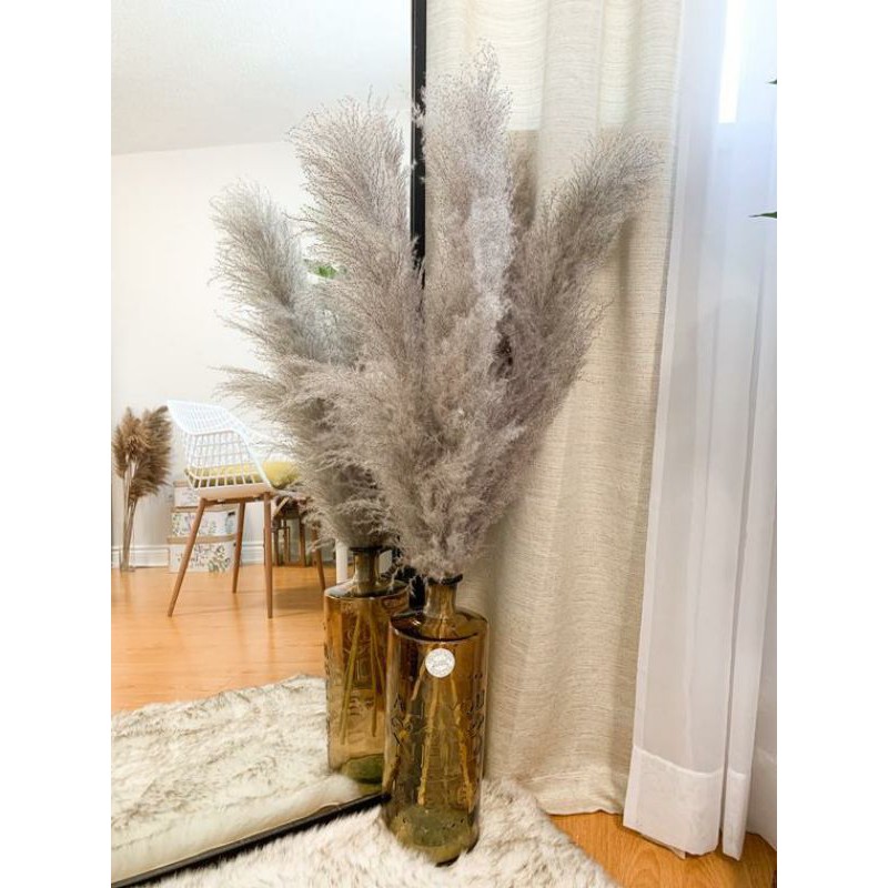 fluffy natural pampas 1,6m decor wedding bunga pampas kering asli