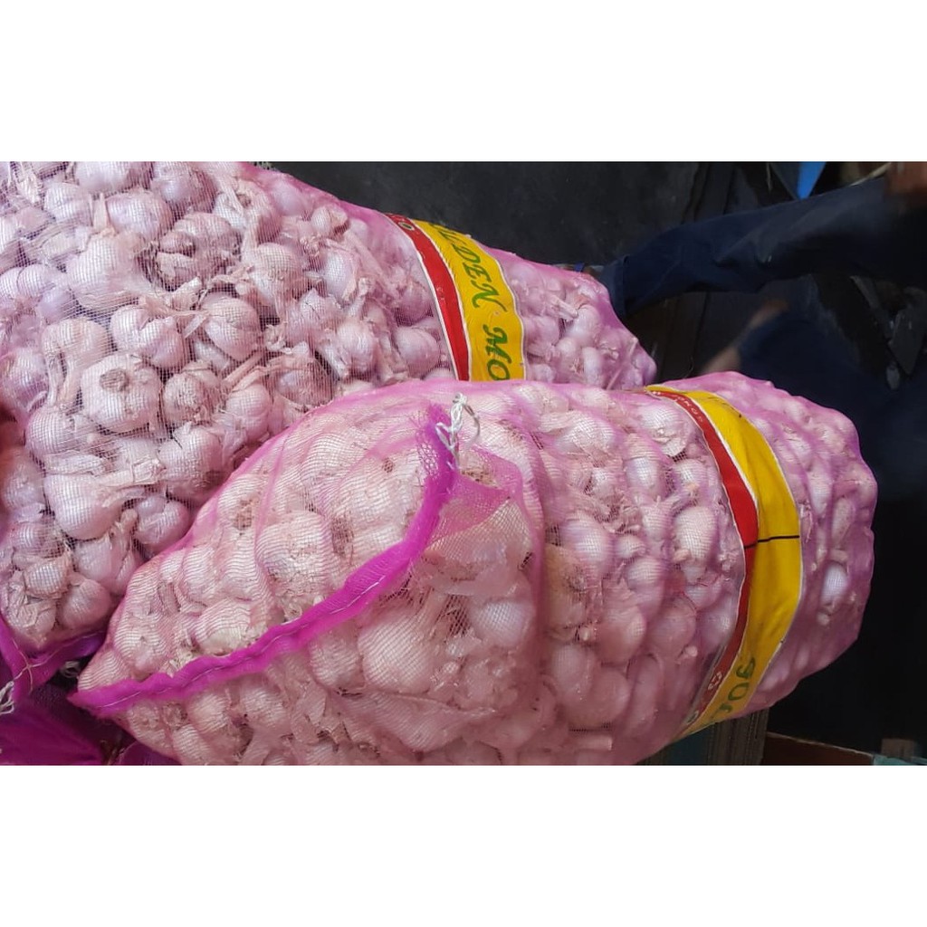 

bawang putih kating