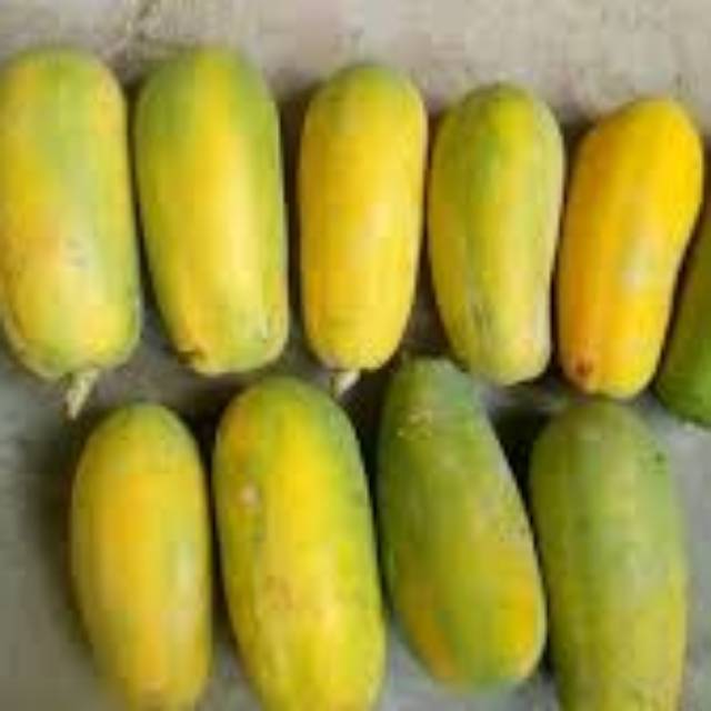 

PEPAYA CALIFORNIA ORGANIK
