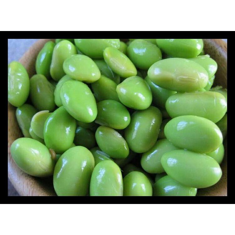 Benih/ Biji/ Bibit Kedelai  Edamame (Kedelai Jepang)