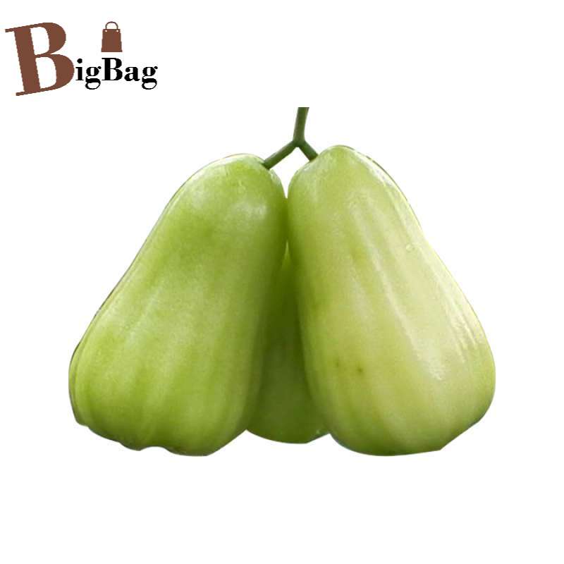 

BigBag - Jambu Deli Putih / 1 Kg