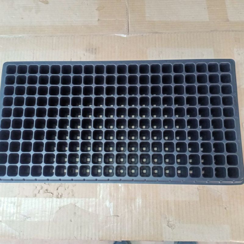 tray semai 200 lubang