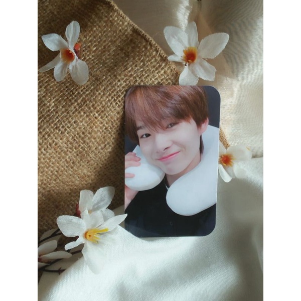 PC NI KI NECK PILLOW