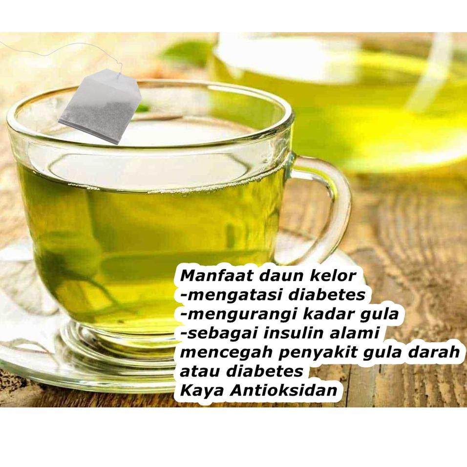 

TEH DAUN KELOR SEGAR ORIGINAL 100% MURNI TEH DAUN KELOR CELUP MORINGA DAUN KELOR DAUN KELOR MURNI //WH8FA Terlaris