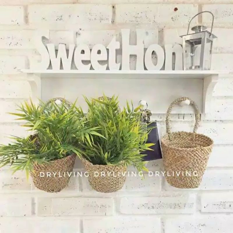 Pot Gantung Mini Mendong