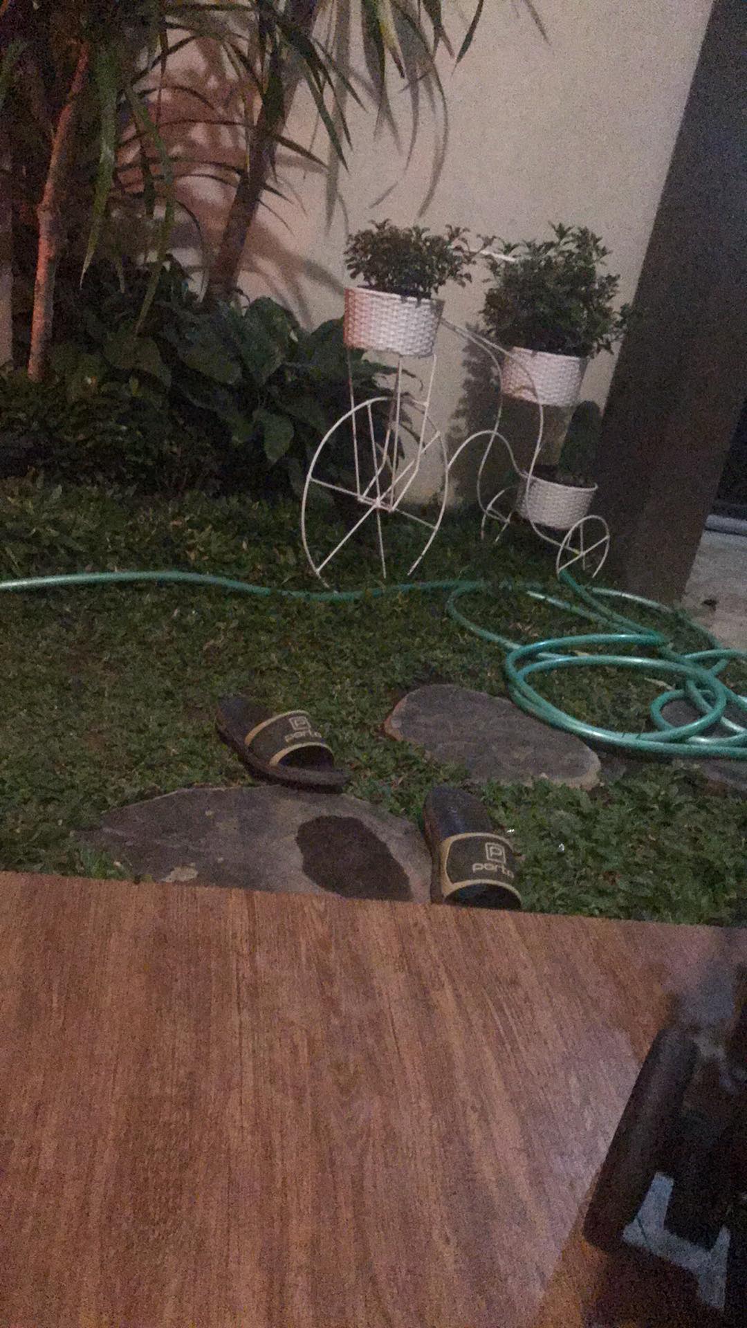 Pot Tirus 18 Pot Pirus My Honey 18 Gbl Putih Glossy