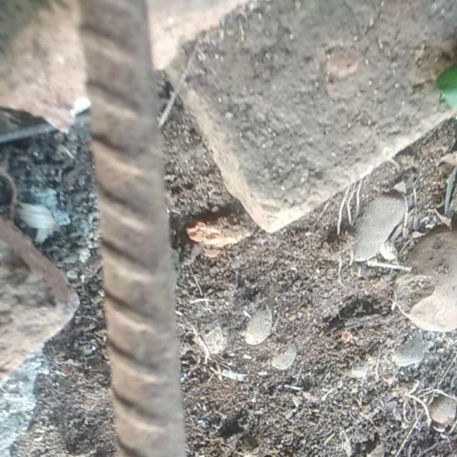 Alat Dudukan Solder / Tatakan Solder Bulat / Stand Holder Solder Universal