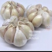 

bawang putih 100 gram