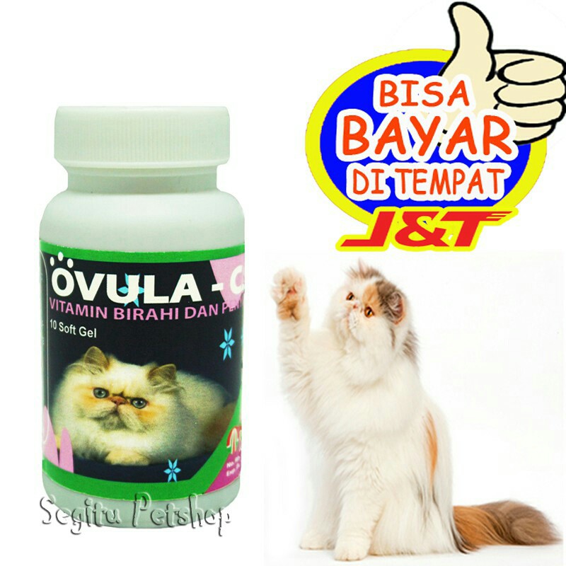 Obat Kucing Penumbuh Birahi OVULA CAT