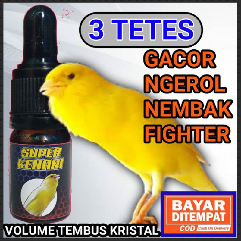 Vitamin Burung Kenari Lokal Dan Import Cepat Gacor Birahi
