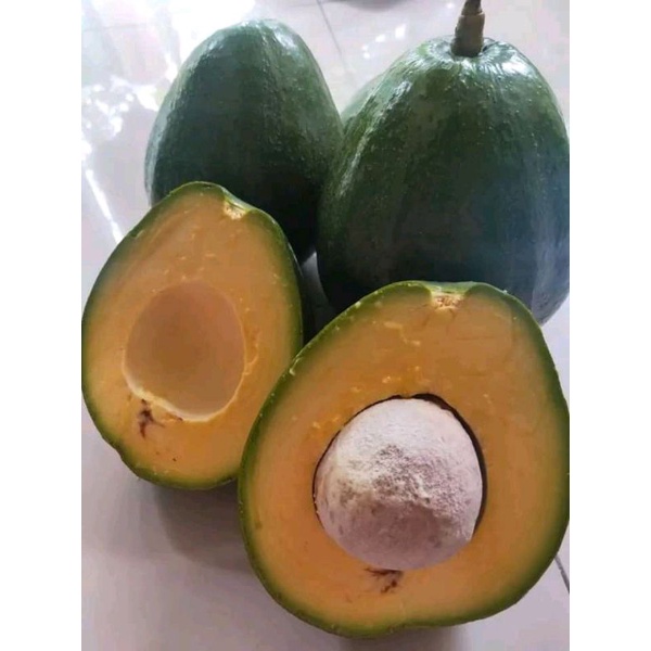 

Buah Alpukat Mentega Super Jumbo paket 3kg