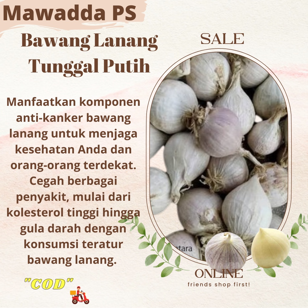 

Bawang Lanang Tunggal Putih 250gram