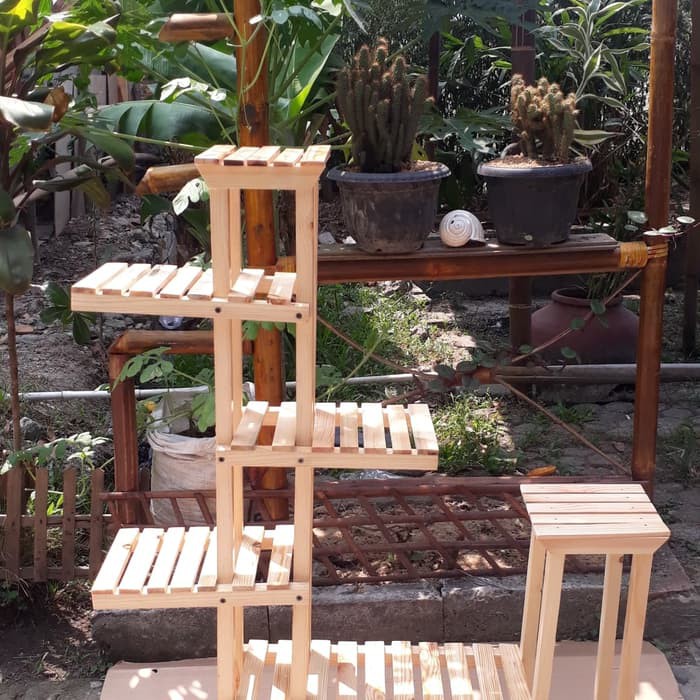 RAK rak tanaman jati belanda