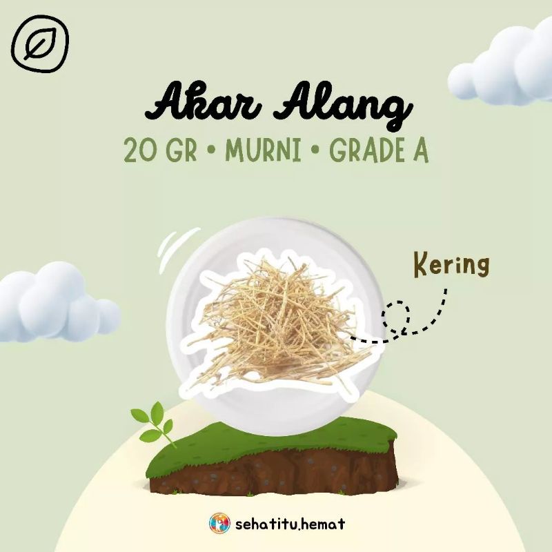 

Akar Alang-alang Kering Obat ISK (Infeksi Saluran Kemih) 20gr Minuman Rempah JSR