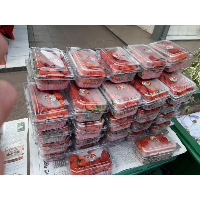 

strawberry lokal fresh 250 gram