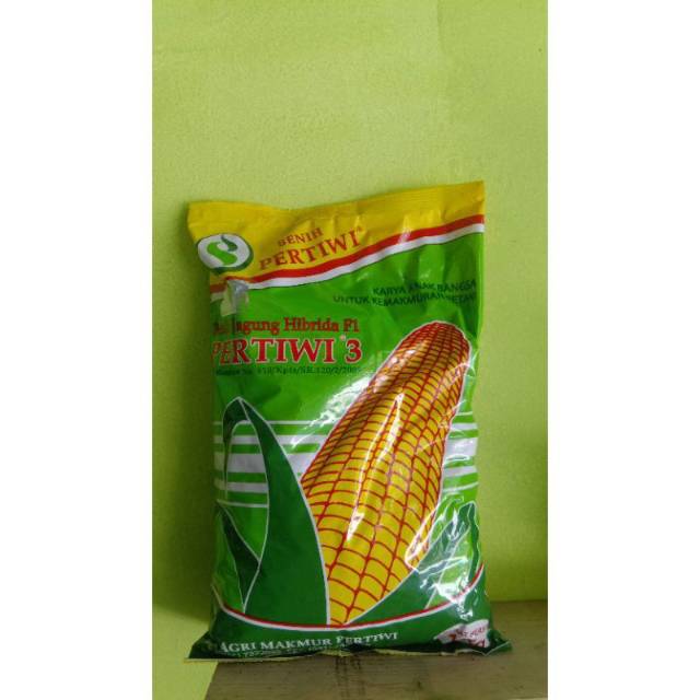 Bibit jagung pertiwi(benih jagung)