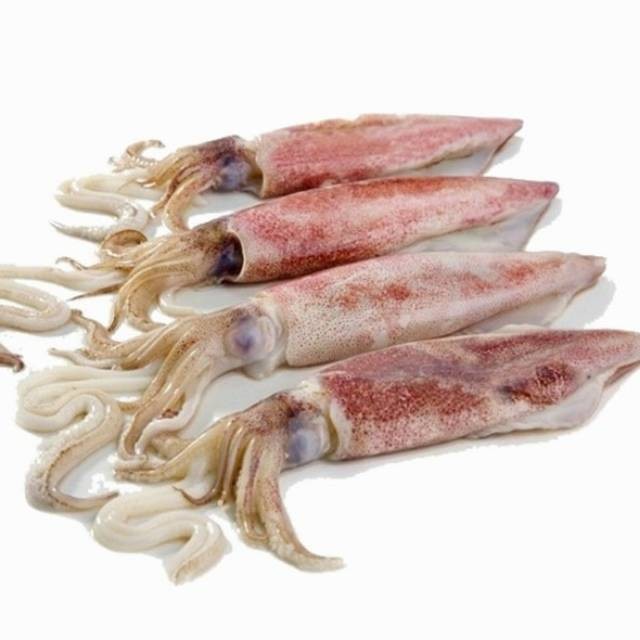 

CUMI BASAH /CUMI LAUT