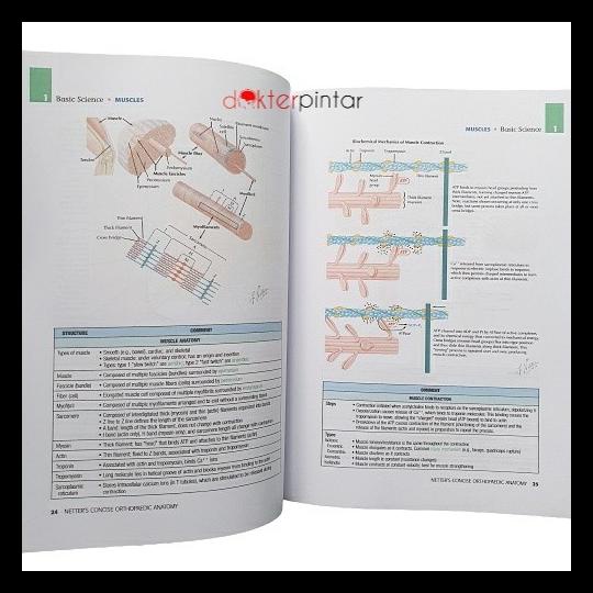 

TERBARUU!! Buku Kedokteran Ortopedi Netter Concise Orthopaedic TERBARU