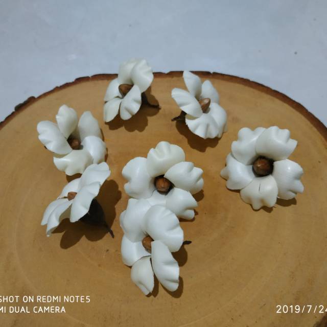 Bunga Daun Lontar Shopee Indonesia Bunga Daun Lontar Shopee Indonesia