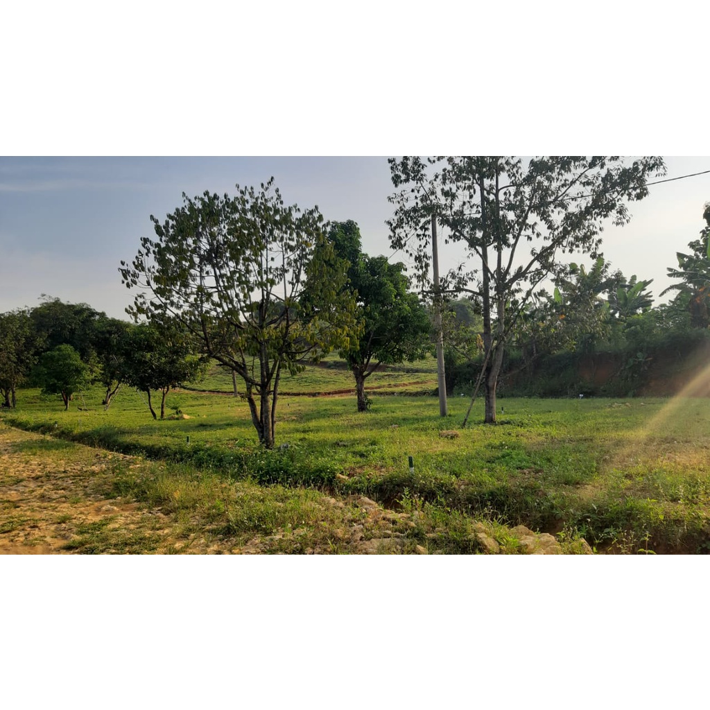 Tanah Kavling 30 Menit Stasiun Nambo