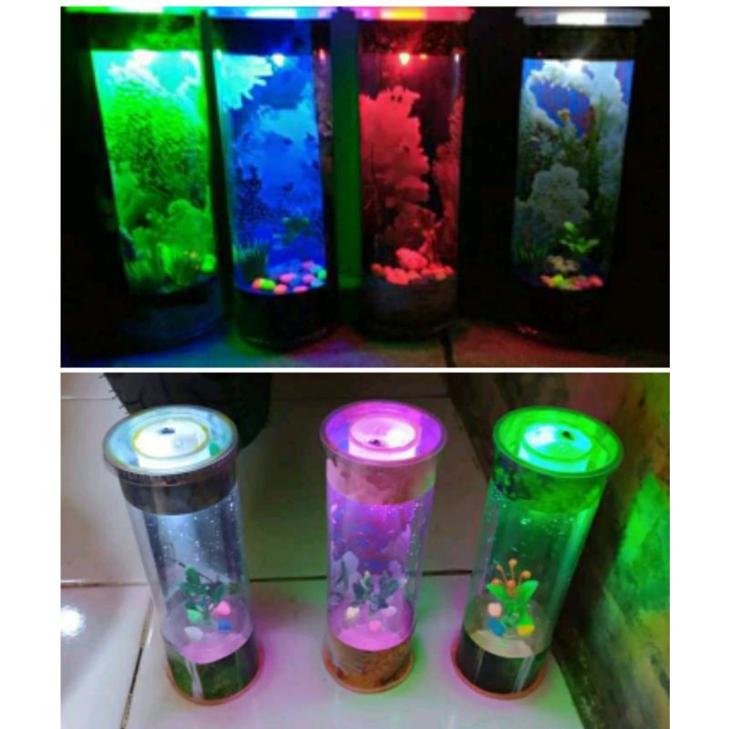 akuarium mini ikan cupang