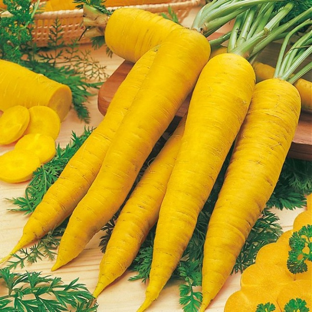 Benih Bibit Biji - Carrot Yellowstone Wortel Kuning Cerah Seeds - IMPORT