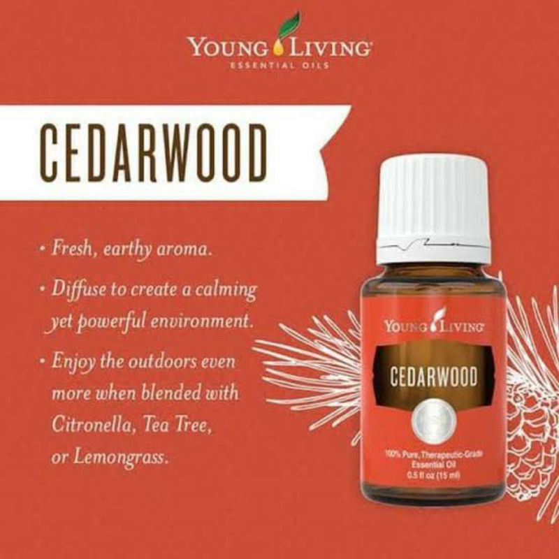 Cedarwood 15ml YL