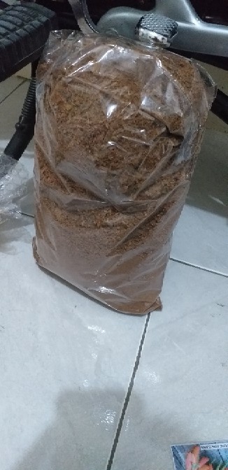 Cabe Rawit Pedas - 15 Benih