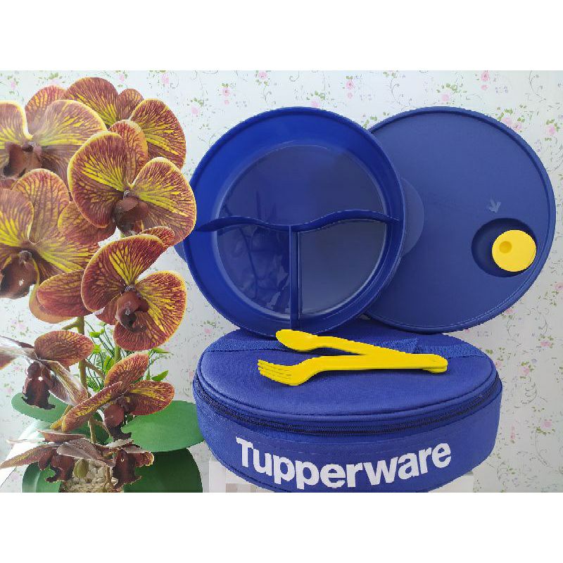 Large crystalwave lunch set