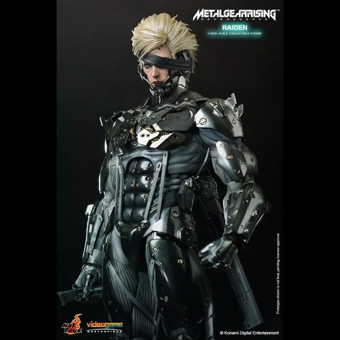 Hot Toys Raiden