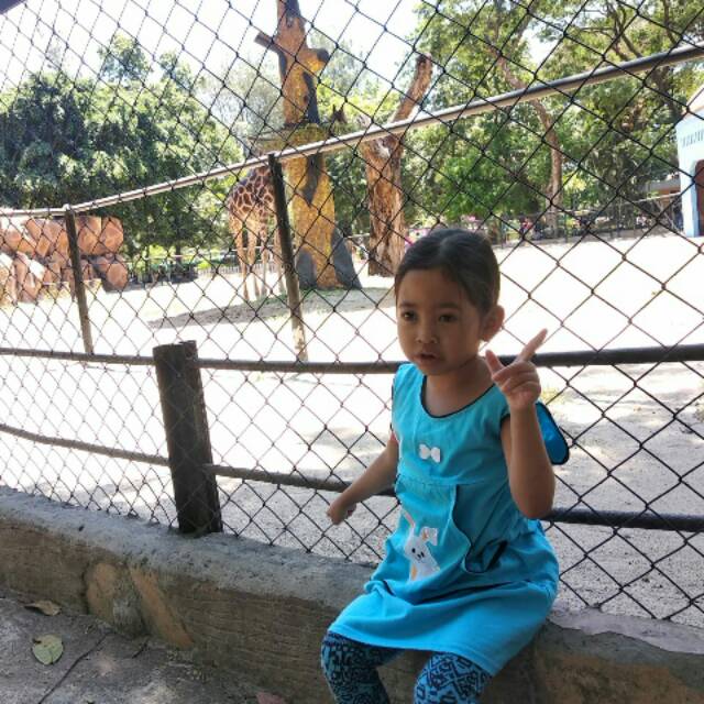 peni25agustus