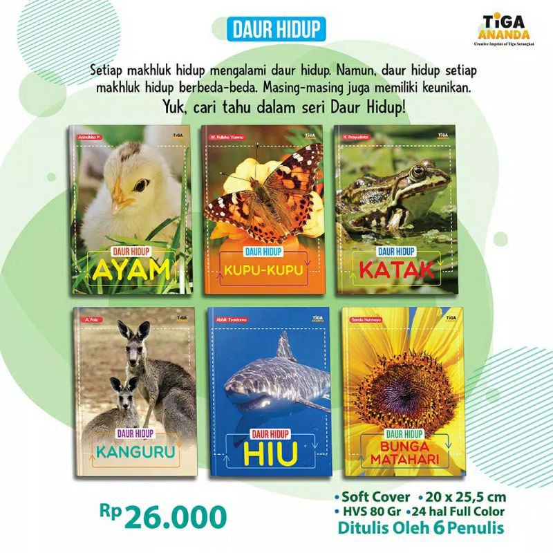 Buku Anak Seri Daur Hidup Binatang Hewan Ayam Katak Kupu-kupu Bunga Matahari