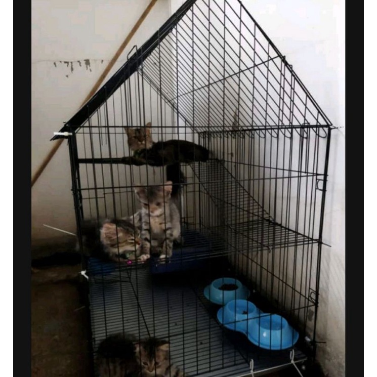 Kandang Kucing Tingkat 2 Jumbo Atap Rumah