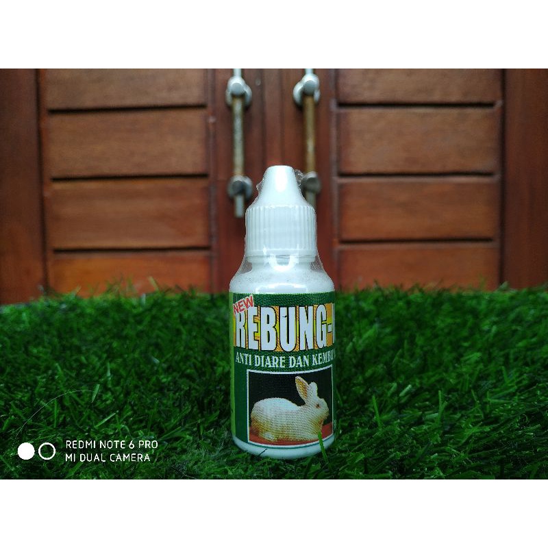 

REBUNG