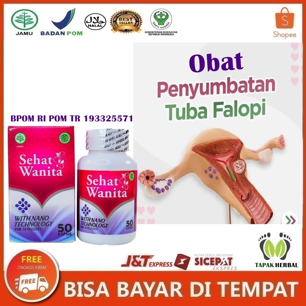 Obat Penyumbatan Tuba Falopi, Radang Tuba Falopi, Obat Herbal Perlengketan Tuba Falopi Dengan Herbal