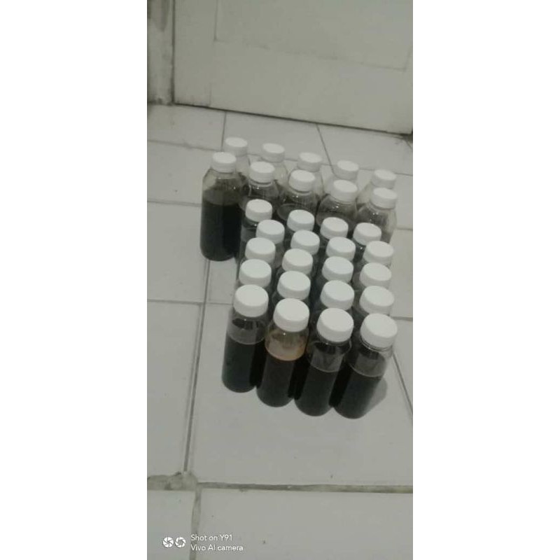

Madu Hutan Asli Riau