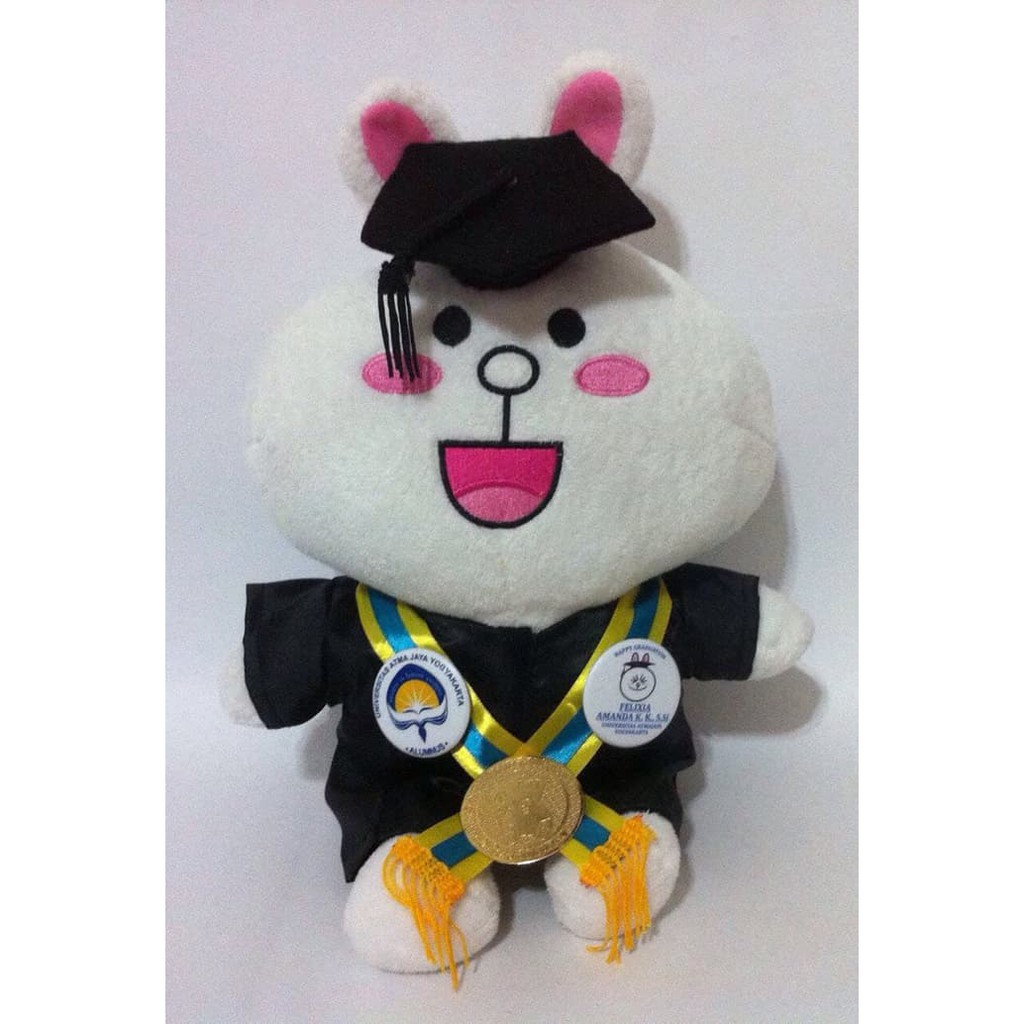 Promo Boneka Wisuda Brown Cony Line Kado Romantis Unik Lucu