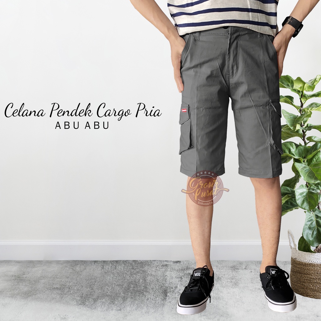 Celana Pendek Kargo Abu 27 - 38