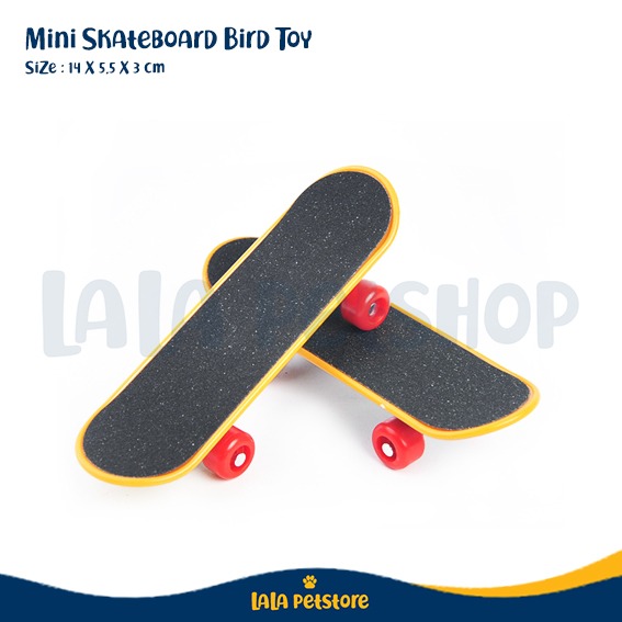 Mainan Burung Skateboard Mini