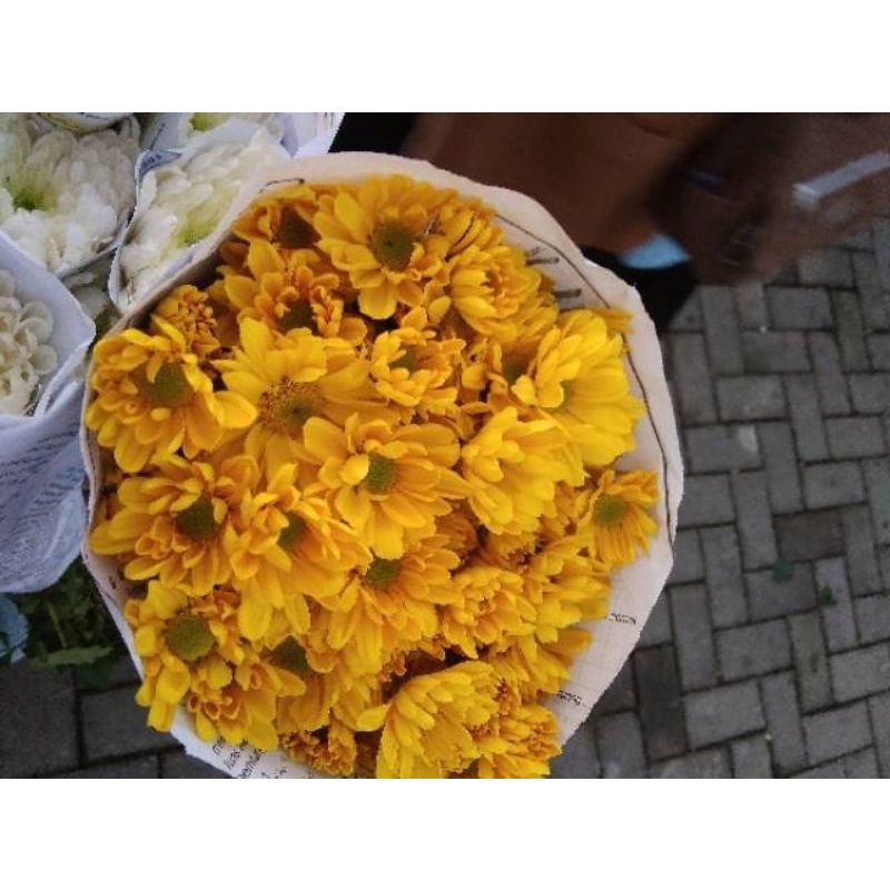 BUNGA KRISAN POTONG 1 Ikat