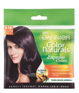  Garnier  Naturals Express Cream Pewarna  Rambut  Instan 