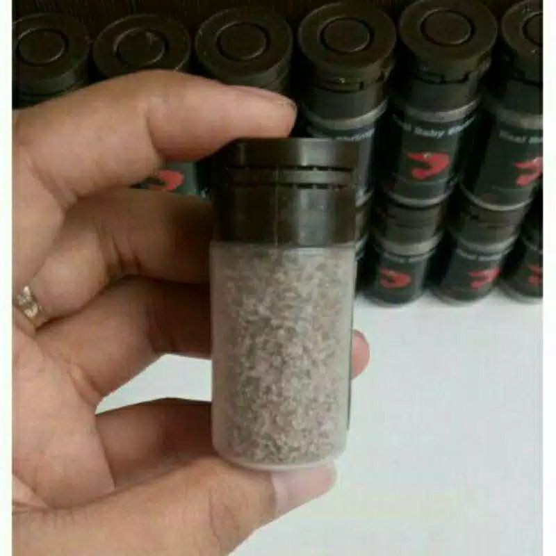baby shrimp pakan cupang /gupy /ikan air tawar /burayak ikan