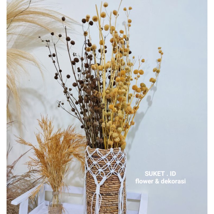 BUNGA POMPOM BESAR / Bunga Kering Pompom