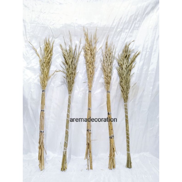 1ikat bunga padi-padian / bunga kering / dekorasi