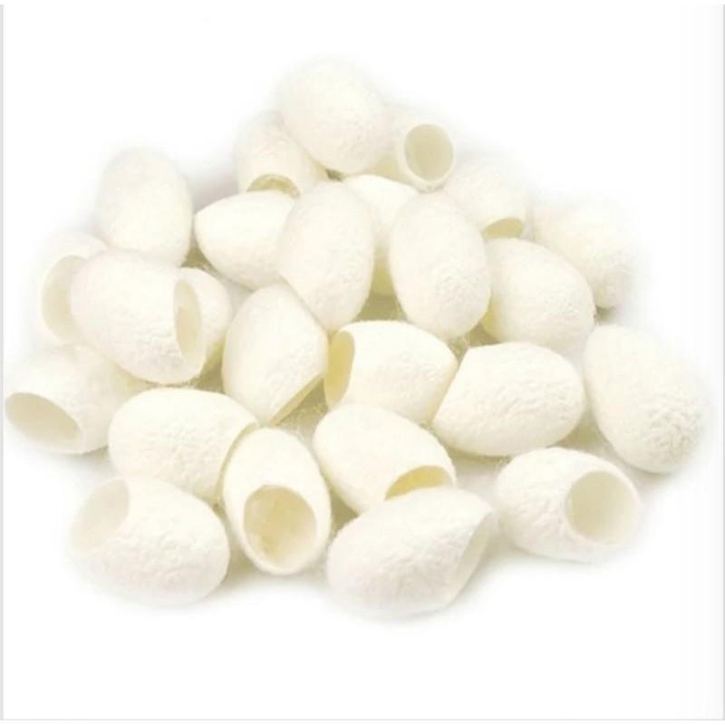 PEMBERSIH KOMEDO Kepompong SUTERA 10pcs