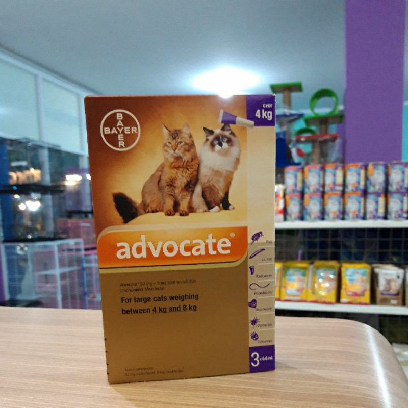 advocate obat tetes kutu kucing over 4 kg For larage cats per tube Advocate cat 4kg-8kg tube