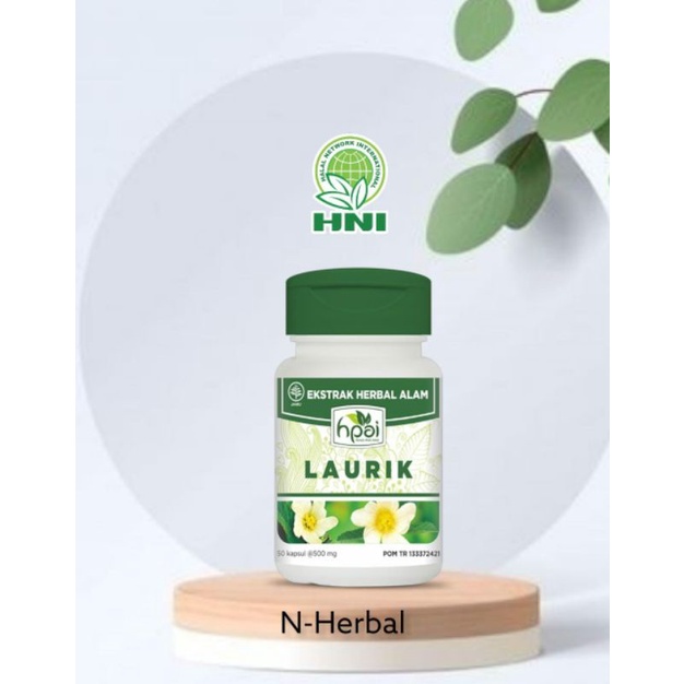 laurik hni hpai obat asam urat herbal